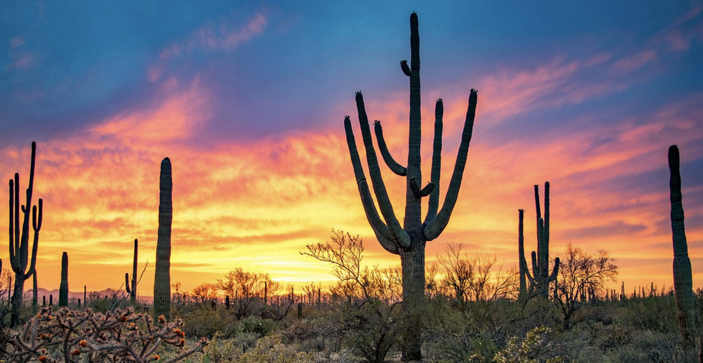 Long-Term Care Planning in Arizona: Costs, AHCCCS, and Your Options (2026 Guide)