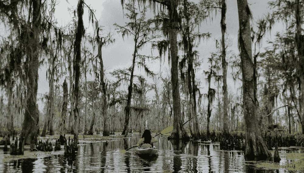 Long-Term Care Planning in Louisiana: Costs, Medicaid & Your Options (2026 Guide)