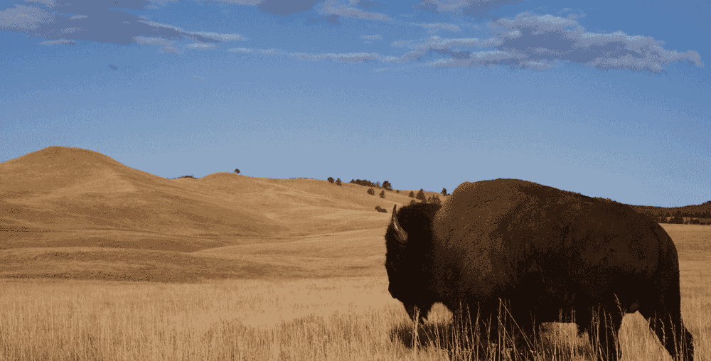 Long-Term Care Planning in North Dakota: Costs, Medicaid & Your Options (2026 Guide)