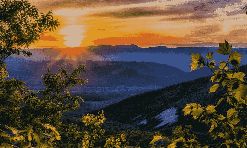 Long-Term Care Planning in Virginia: Costs, Cardinal Care & Your Options (2026 Guide)