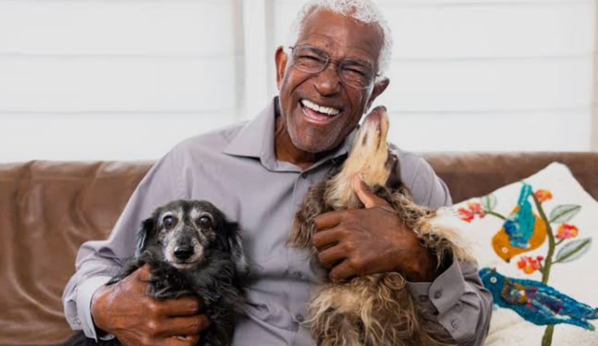 Pet Power of Attorney and Pet Care Trusts: How to Make Sure Your Pet Is Cared For If Something Happens to You